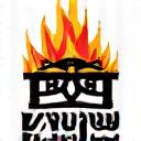 Broil King BBQ Logo